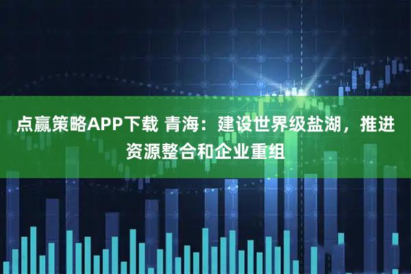 点赢策略APP下载 青海：建设世界级盐湖，推进资源整合和企业重组